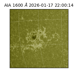 saia - 2026-01-17T22:00:14.124000