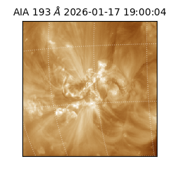 saia - 2026-01-17T19:00:04.835000