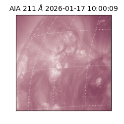 saia - 2026-01-17T10:00:09.625000
