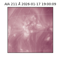 saia - 2026-01-17T19:00:09.624000