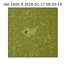 saia - 2026-01-17T09:00:14.126000