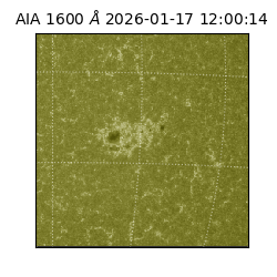 saia - 2026-01-17T12:00:14.131000