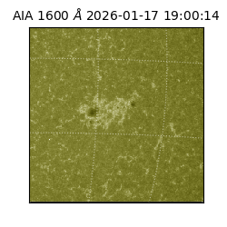 saia - 2026-01-17T19:00:14.118000
