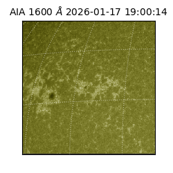 saia - 2026-01-17T19:00:14.118000