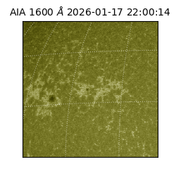 saia - 2026-01-17T22:00:14.124000