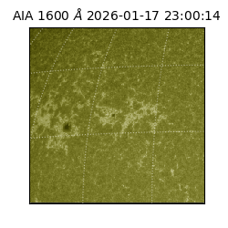 saia - 2026-01-17T23:00:14.131000