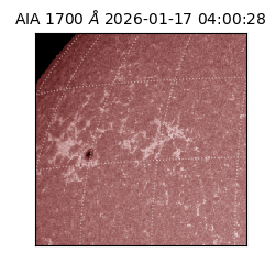 saia - 2026-01-17T04:00:28.718000
