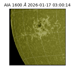saia - 2026-01-17T03:00:14.126000