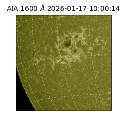 saia - 2026-01-17T10:00:14.123000