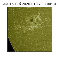 saia - 2026-01-17T13:00:14.131000