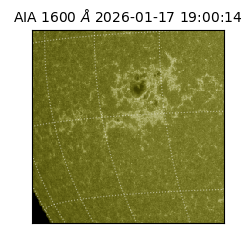 saia - 2026-01-17T19:00:14.118000