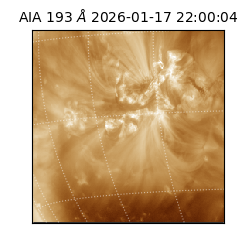 saia - 2026-01-17T22:00:04.835000