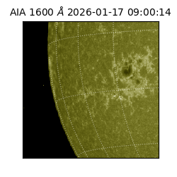 saia - 2026-01-17T09:00:14.126000