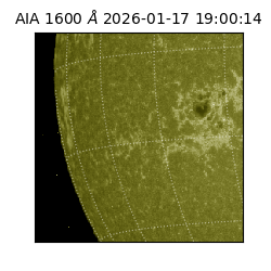 saia - 2026-01-17T19:00:14.118000