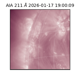 saia - 2026-01-17T19:00:09.624000