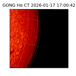 gong - 2026-01-17T17:00:42