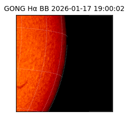 gong - 2026-01-17T19:00:02