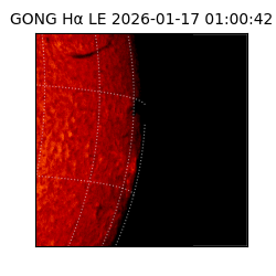 gong - 2026-01-17T01:00:42