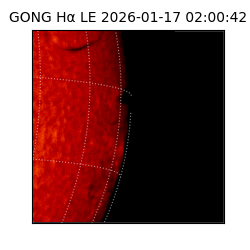 gong - 2026-01-17T02:00:42