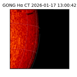 gong - 2026-01-17T13:00:42