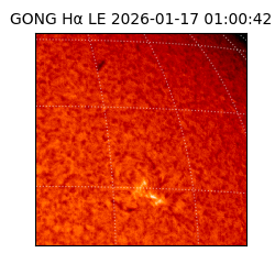 gong - 2026-01-17T01:00:42