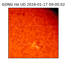 gong - 2026-01-17T09:00:02