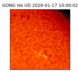 gong - 2026-01-17T10:00:02