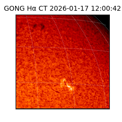 gong - 2026-01-17T12:00:42