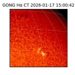 gong - 2026-01-17T15:00:42
