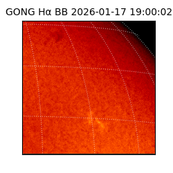 gong - 2026-01-17T19:00:02