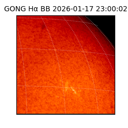 gong - 2026-01-17T23:00:02