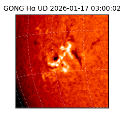 gong - 2026-01-17T03:00:02