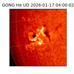 gong - 2026-01-17T04:00:02