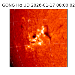 gong - 2026-01-17T08:00:02