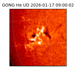 gong - 2026-01-17T09:00:02