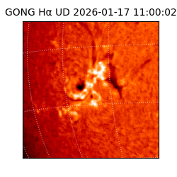 gong - 2026-01-17T11:00:02