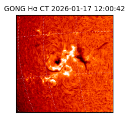 gong - 2026-01-17T12:00:42