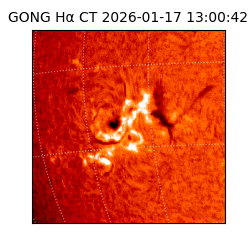 gong - 2026-01-17T13:00:42