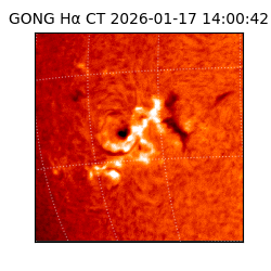 gong - 2026-01-17T14:00:42