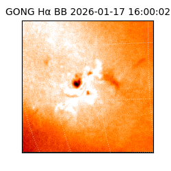 gong - 2026-01-17T16:00:02