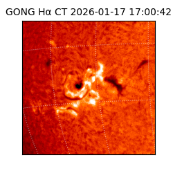 gong - 2026-01-17T17:00:42
