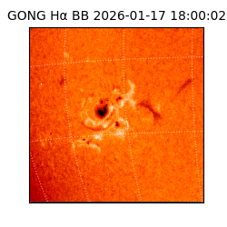 gong - 2026-01-17T18:00:02