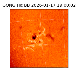 gong - 2026-01-17T19:00:02