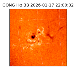 gong - 2026-01-17T22:00:02