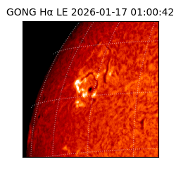 gong - 2026-01-17T01:00:42