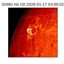 gong - 2026-01-17T03:00:02