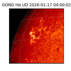 gong - 2026-01-17T04:00:02