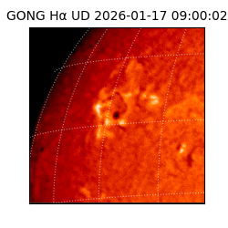 gong - 2026-01-17T09:00:02