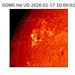 gong - 2026-01-17T10:00:02