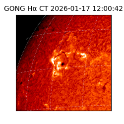 gong - 2026-01-17T12:00:42